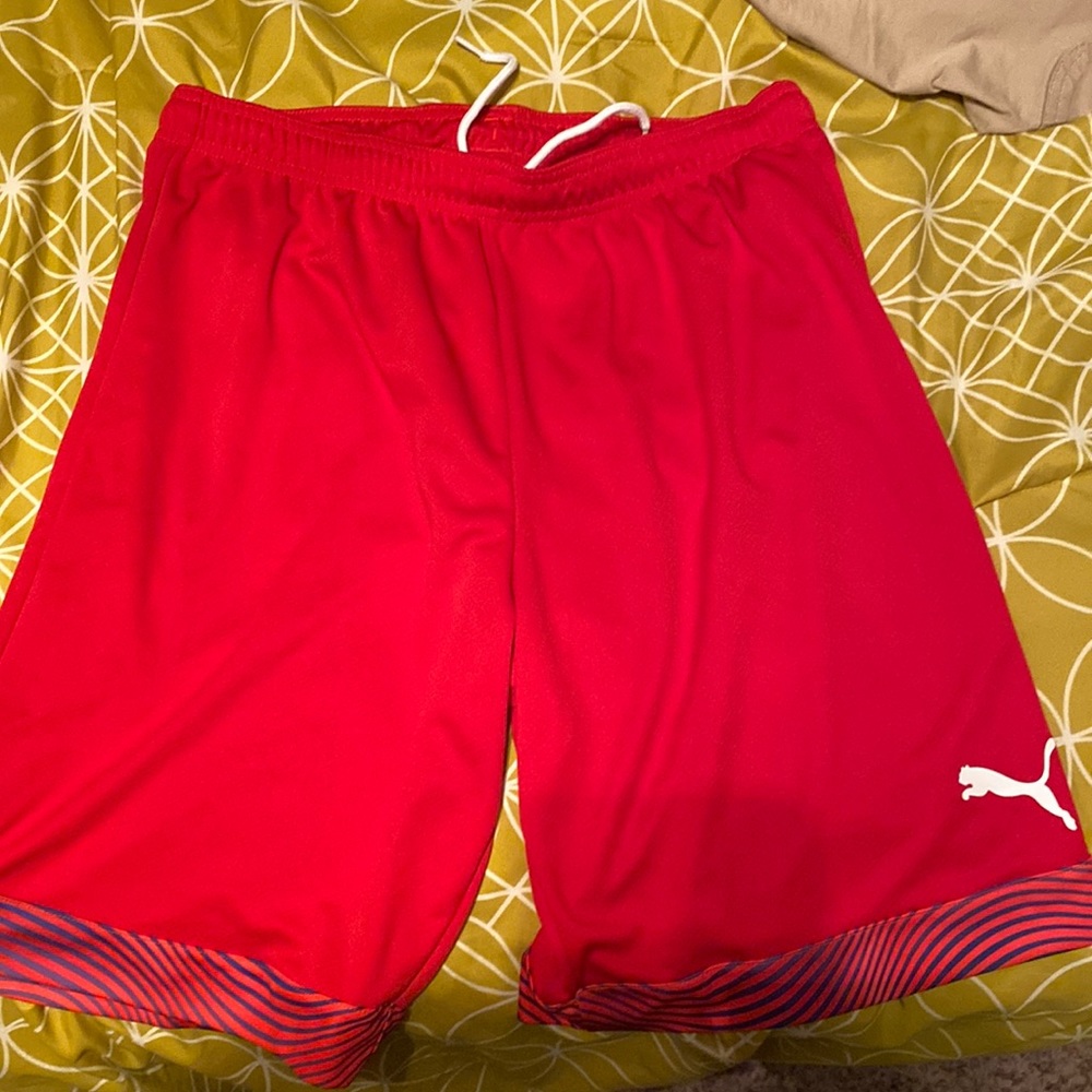 Large Puma Sports Shorts